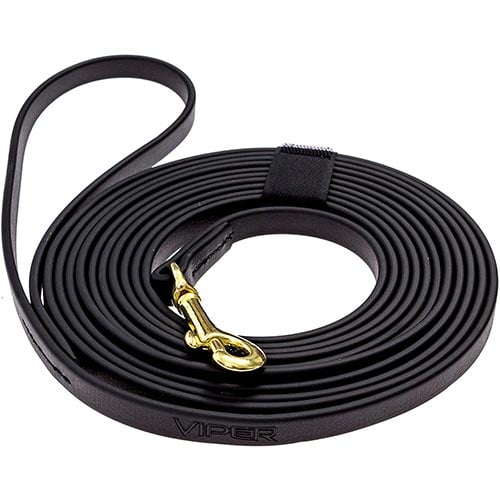 Choosing a Safe & Durable Dog Leash Preventive Vet